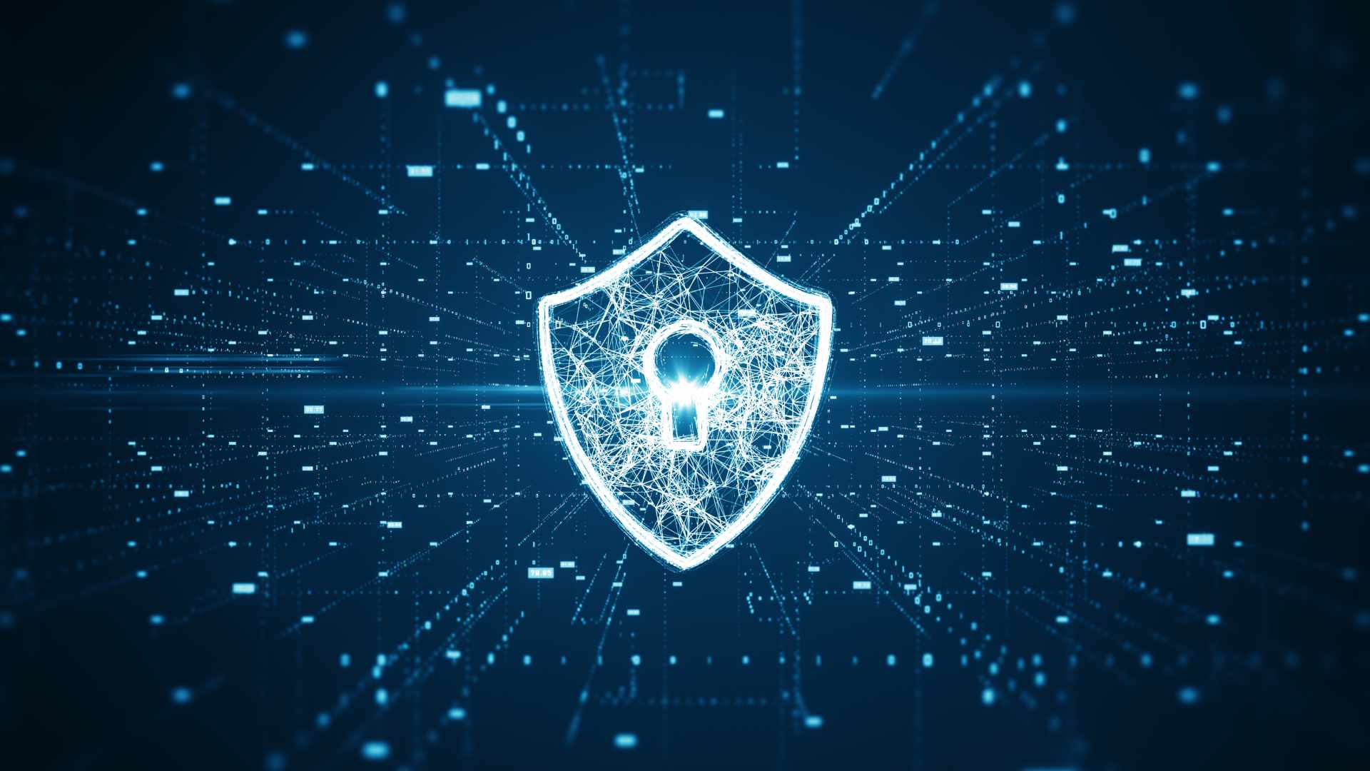 XSS (Cross-Site Scripting) as a Business Risk: Management, Control, and Competitive Advantage